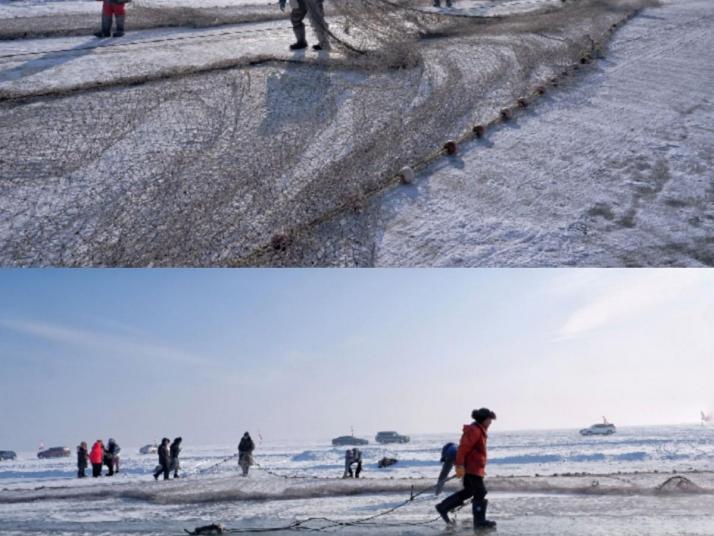 前郭查干湖冬捕好玩吗