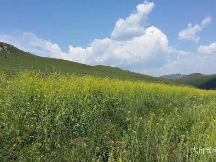 沽源老掌沟图片