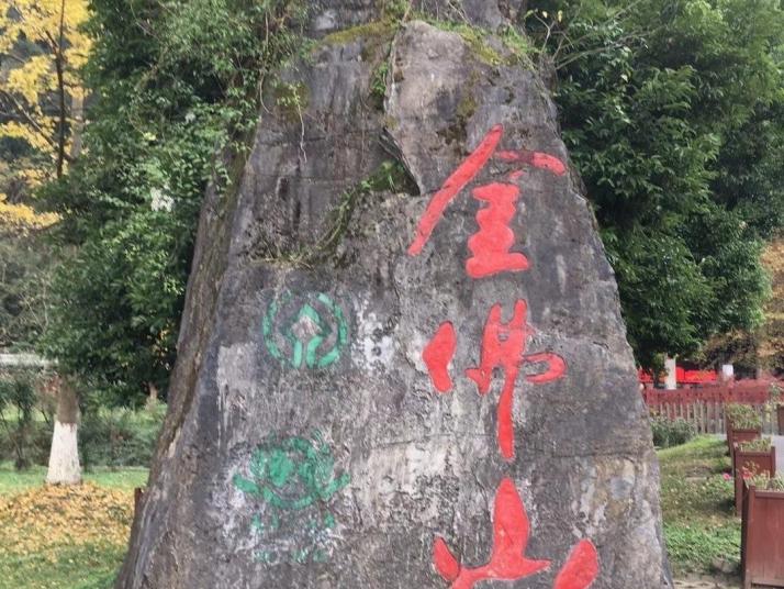重庆金佛山北坡景区好玩吗
