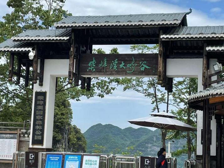 五峰柴埠溪国家森林公园图片