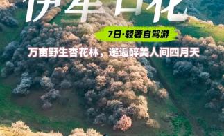 乌鲁木齐集合伊犁杏花7日自驾游：赛里木湖-土尔根杏花-恰西-那拉提-库木塔格沙漠-不走回头路-推荐