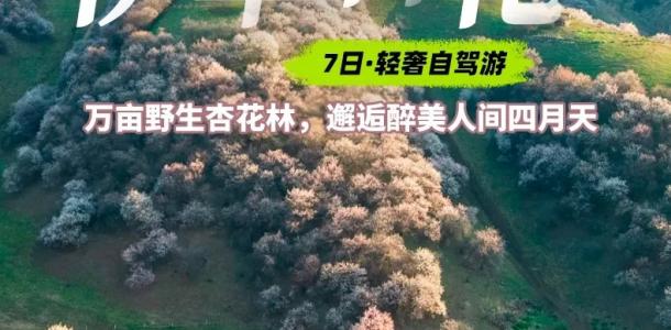 乌鲁木齐集合伊犁杏花7日自驾游：赛里木湖-土尔根杏花-恰西-那拉提-库木塔格沙漠-不走回头路自驾游