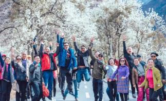 成都集合川西赏花5日自驾游：【金川梨花】新都桥-甲根坝-神仙包-姑弄村5日自驾游-推荐