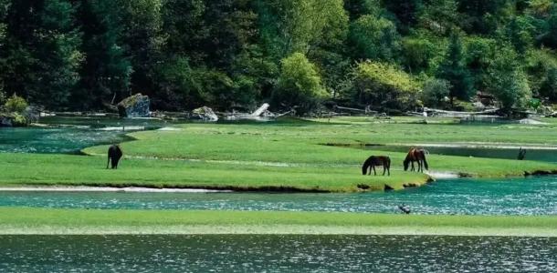 重庆出发川西4日自驾游：【月亮之上】康定月亮湖-子梅垭口-甲根坝-鱼子西-塔公草原-机场路4日游-大自驾网