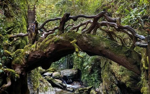 重庆出发云南玉溪5日自驾游：【勇闯哀牢山】哀牢山秘境探险-石门峡-南恩瀑布-石屏古城-异龙湖-抚仙湖
