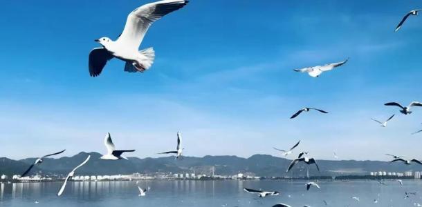 武汉出发贵州云南15日自驾游：贵州铜仁-遵义-六盘水-云南大理丽江-德宏芒市瑞丽-保山腾冲15日游-大自驾网