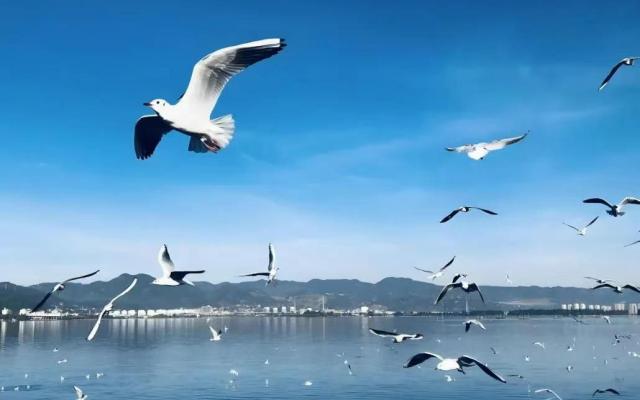 武汉出发贵州云南15日自驾游：贵州铜仁-遵义-六盘水-云南大理丽江-德宏芒市瑞丽-保山腾冲15日游