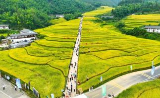 广东出发江西4日自驾游：上堡梯田-阳明湖-王阳明博物馆-吃阳明宴休闲度假4天自驾游-推荐