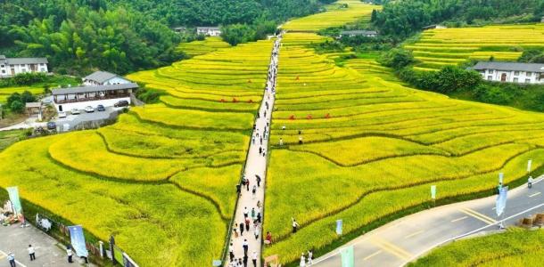 广东出发江西4日自驾游：上堡梯田-阳明湖-王阳明博物馆-吃阳明宴休闲度假4天自驾游-大自驾网