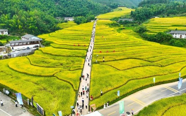广东出发江西4日自驾游：上堡梯田-阳明湖-王阳明博物馆-吃阳明宴休闲度假4天自驾游