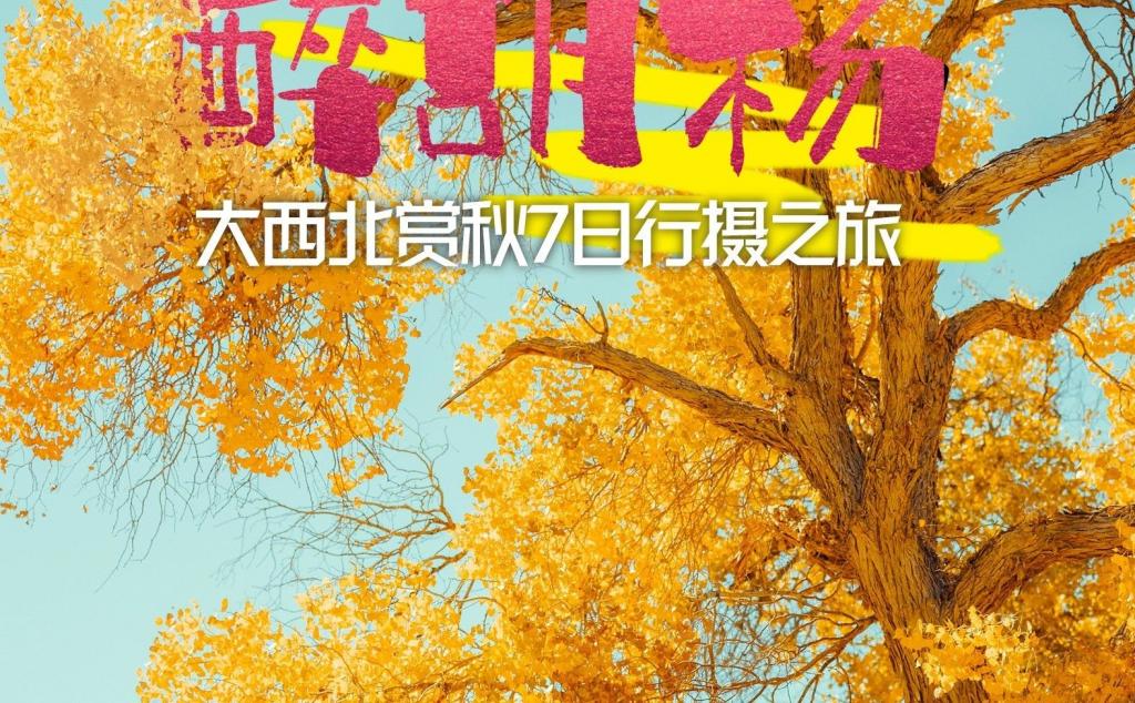 兰州集合西北胡杨林7日自驾游：【醉胡杨】北山林场-冷龙岭-祁连山-额济纳胡杨林-居延海7日游