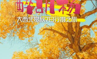 兰州集合西北胡杨林7日自驾游：【醉胡杨】北山林场-冷龙岭-祁连山-额济纳胡杨林-居延海7日游-推荐