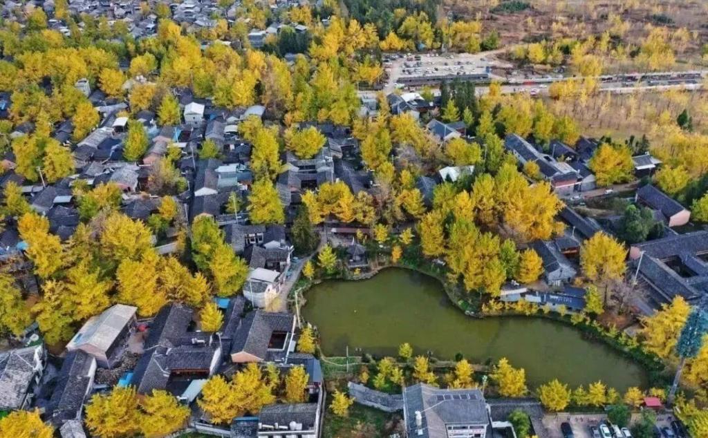 丽江集合云南滇西9日自驾游：【秋遇滇西】腾冲银杏-丙中洛-瑞丽-芒市-梅里雪山-丽江-大理落地9日游