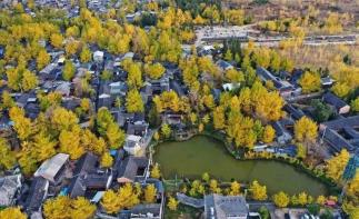 丽江集合云南滇西9日自驾游：【秋遇滇西】腾冲银杏-丙中洛-瑞丽-芒市-梅里雪山-丽江-大理落地9日游-推荐