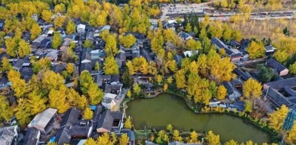 丽江集合云南滇西9日自驾游：【秋遇滇西】腾冲银杏-丙中洛-瑞丽-芒市-梅里雪山-丽江-大理落地9日游-大自驾网