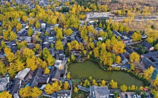 丽江集合云南滇西9日自驾游：【秋遇滇西】腾冲银杏-丙中洛-瑞丽-芒市-梅里雪山-丽江-大理落地9日游