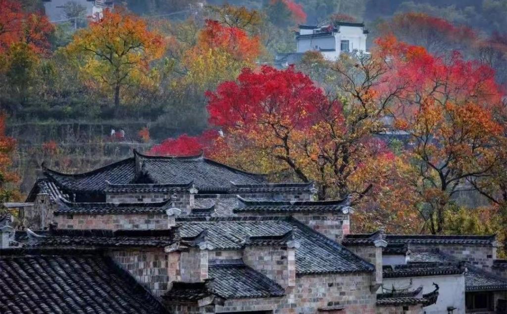 常州出发安徽皖南3日自驾游：【皖南秋色】翡翠谷-218风景道-西递宏村-塔川秋色3日游