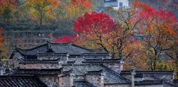 常州出发安徽皖南3日自驾游：【皖南秋色】翡翠谷-218风景道-西递宏村-塔川秋色3日游-大自驾网