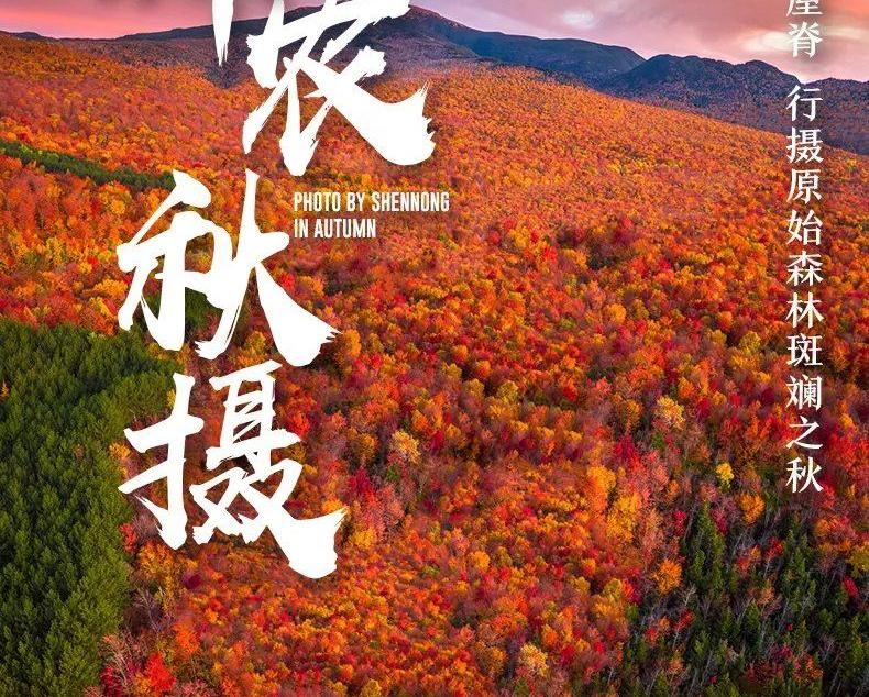 山东出发湖北神农架5日自驾游：【神农架赏秋】神农坛-天生桥-神农顶-大九湖-天燕景区-神农天路