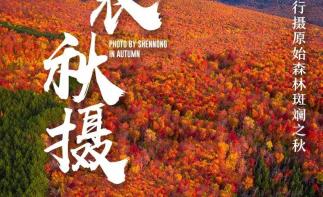 山东出发湖北神农架5日自驾游：【神农架赏秋】神农坛-天生桥-神农顶-大九湖-天燕景区-神农天路-推荐