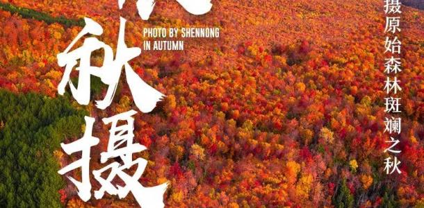 山东出发湖北神农架5日自驾游：【神农架赏秋】神农坛-天生桥-神农顶-大九湖-天燕景区-神农天路-大自驾网