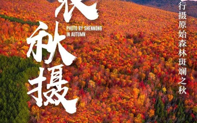 山东出发湖北神农架5日自驾游：【神农架赏秋】神农坛-天生桥-神农顶-大九湖-天燕景区-神农天路
