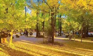 丽江集合云南滇西10日自驾游：丽江-香格里拉-丙中洛-福贡-腾冲-大理金秋滇西大环线10日游-推荐