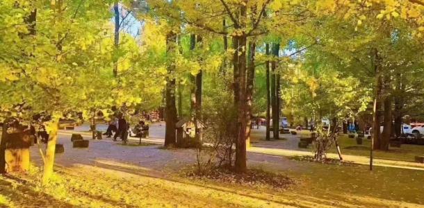 丽江集合云南滇西10日自驾游：丽江-香格里拉-丙中洛-福贡-腾冲-大理金秋滇西大环线10日游-大自驾网