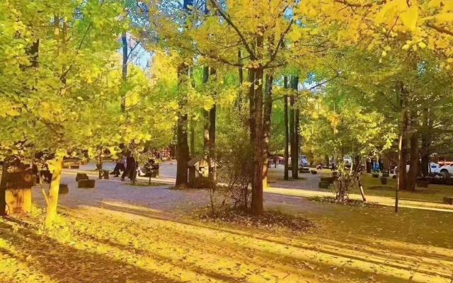 丽江集合云南滇西10日自驾游：丽江-香格里拉-丙中洛-福贡-腾冲-大理金秋滇西大环线10日游