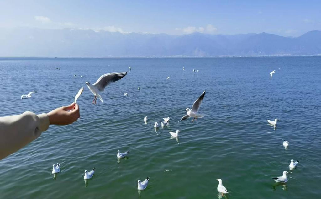 广东出发云南11日自驾游：香格里拉-梅里雪山-丽江-大理-泸沽湖11日游