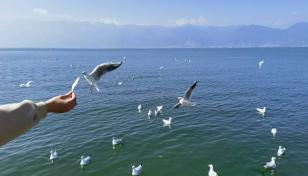 广东出发云南11日自驾游：香格里拉-梅里雪山-丽江-大理-泸沽湖11日游-推荐