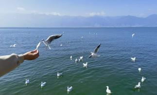 广东出发云南11日自驾游：香格里拉-梅里雪山-丽江-大理-泸沽湖11日游-推荐