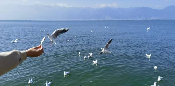 广东出发云南11日自驾游：香格里拉-梅里雪山-丽江-大理-泸沽湖11日游-大自驾网