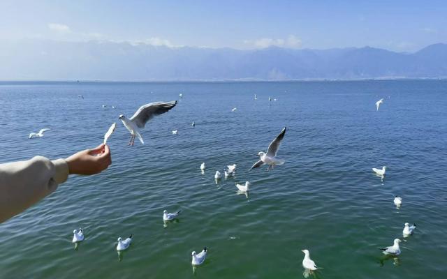 广东出发云南11日自驾游：香格里拉-梅里雪山-丽江-大理-泸沽湖11日游