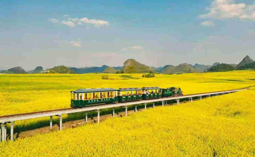 重庆出发贵州云南5日自驾游：【峰林花海】贵州兴义峰林+云南罗平油菜花海5天4晚游