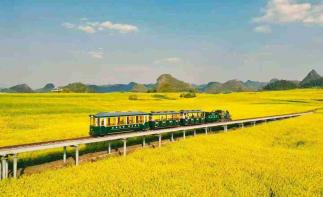 重庆出发贵州云南5日自驾游：【峰林花海】贵州兴义峰林+云南罗平油菜花海5天4晚游-推荐