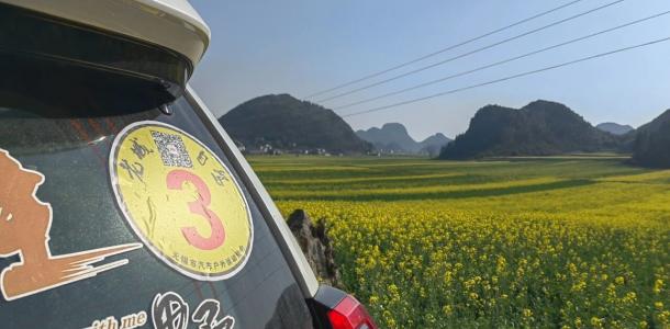 昆明集结云南8日自驾游：罗平油菜花-元阳梯田-碧色寨-普者黑-坝美-建水古城早春之旅-大自驾网