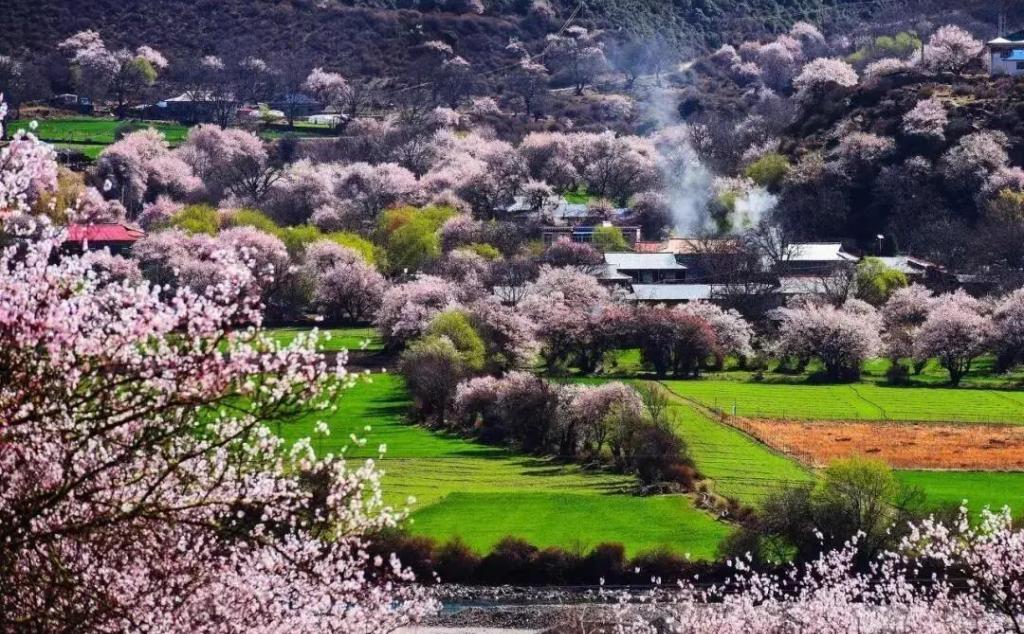 拉萨集合林芝桃花节7日自驾游：林拉公路-雅鲁藏布江大峡谷-索松村-桃花沟-来古冰川-然乌湖7日游