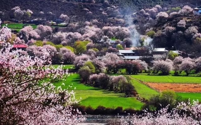 拉萨集合林芝桃花节7日自驾游：林拉公路-雅鲁藏布江大峡谷-索松村-桃花沟-来古冰川-然乌湖7日游