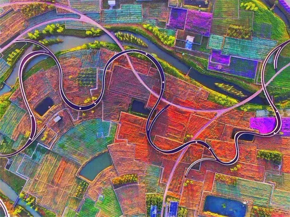 山东出发江苏自驾游：兴化千垛花海-大纵湖芦苇迷宫-李中水上森林3日休闲游