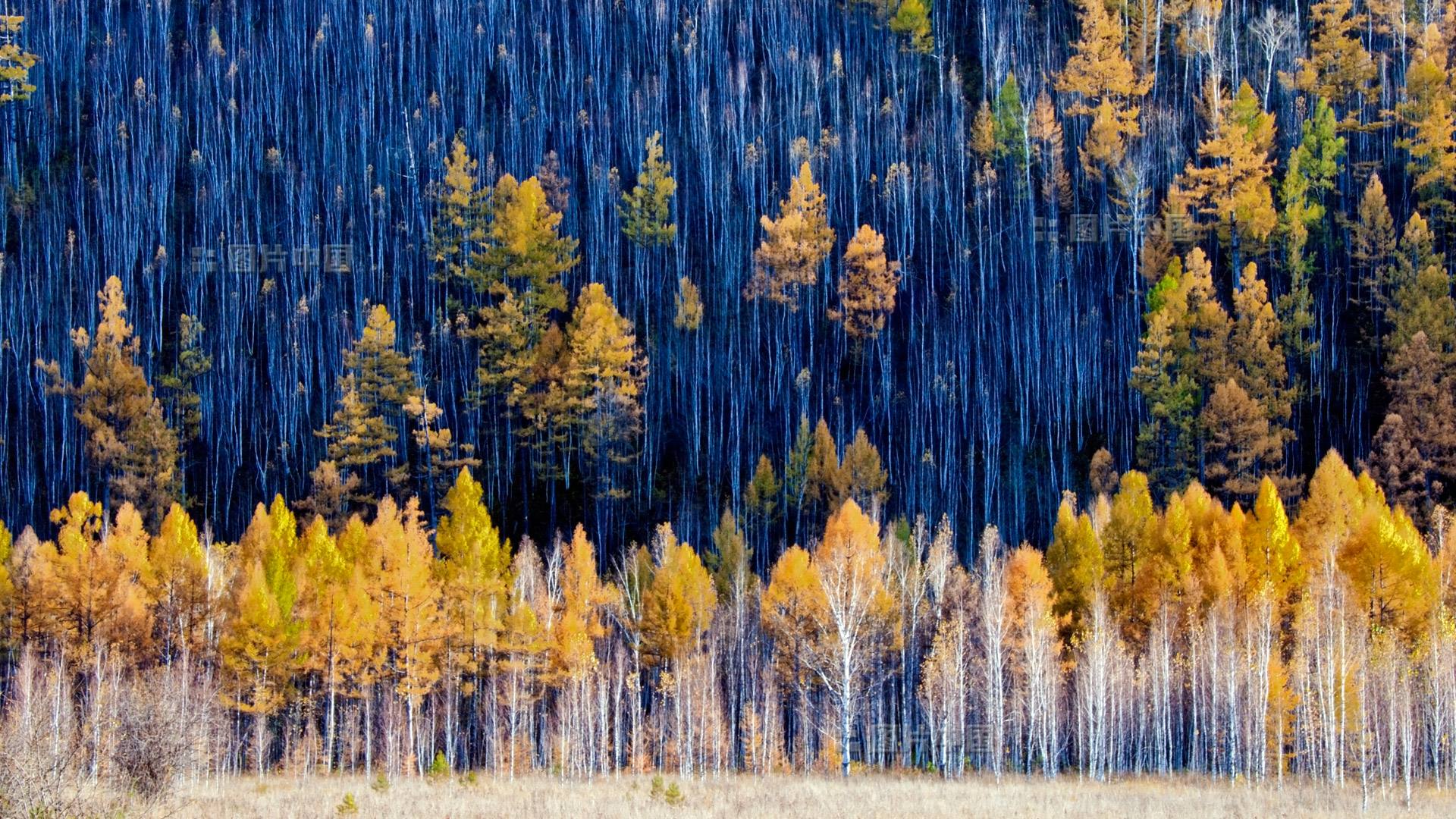 盘锦集合东北/俄罗斯自驾游：盘锦红地毯-五大莲池-漠河北极村-俄罗斯15日赏秋之旅