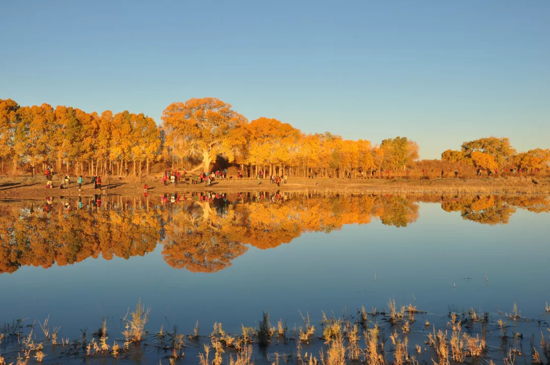 重庆出发/内蒙西北10日自驾游：张掖-怪树林-额济纳胡杨林-巴彦淖尔-响沙湾-鄂尔多斯-安塞-汉中10日环线自驾之旅