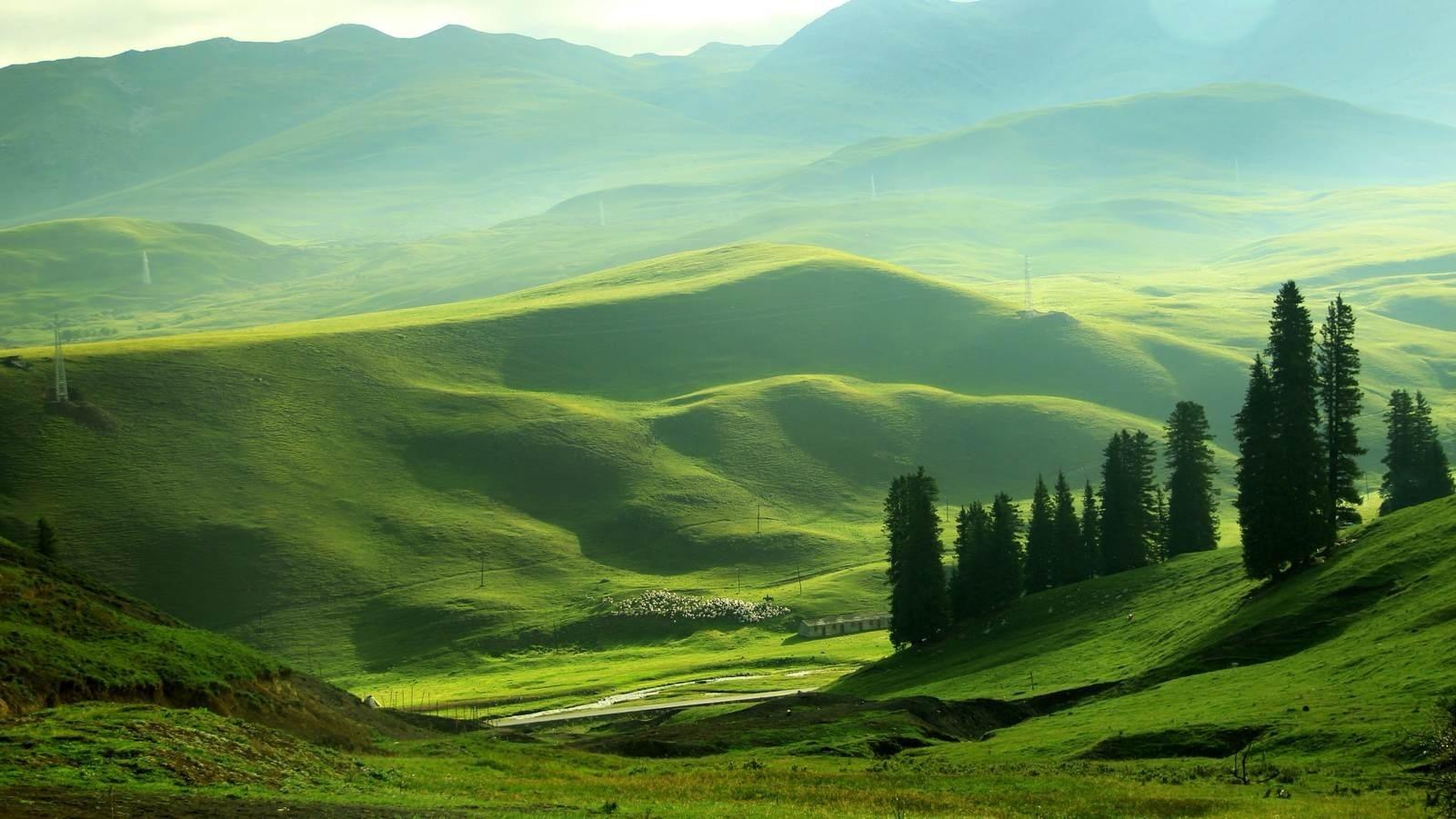 合肥出发新疆7日落地自驾游：独库公路-巴音布鲁克-天山大峡谷7日环线自驾游