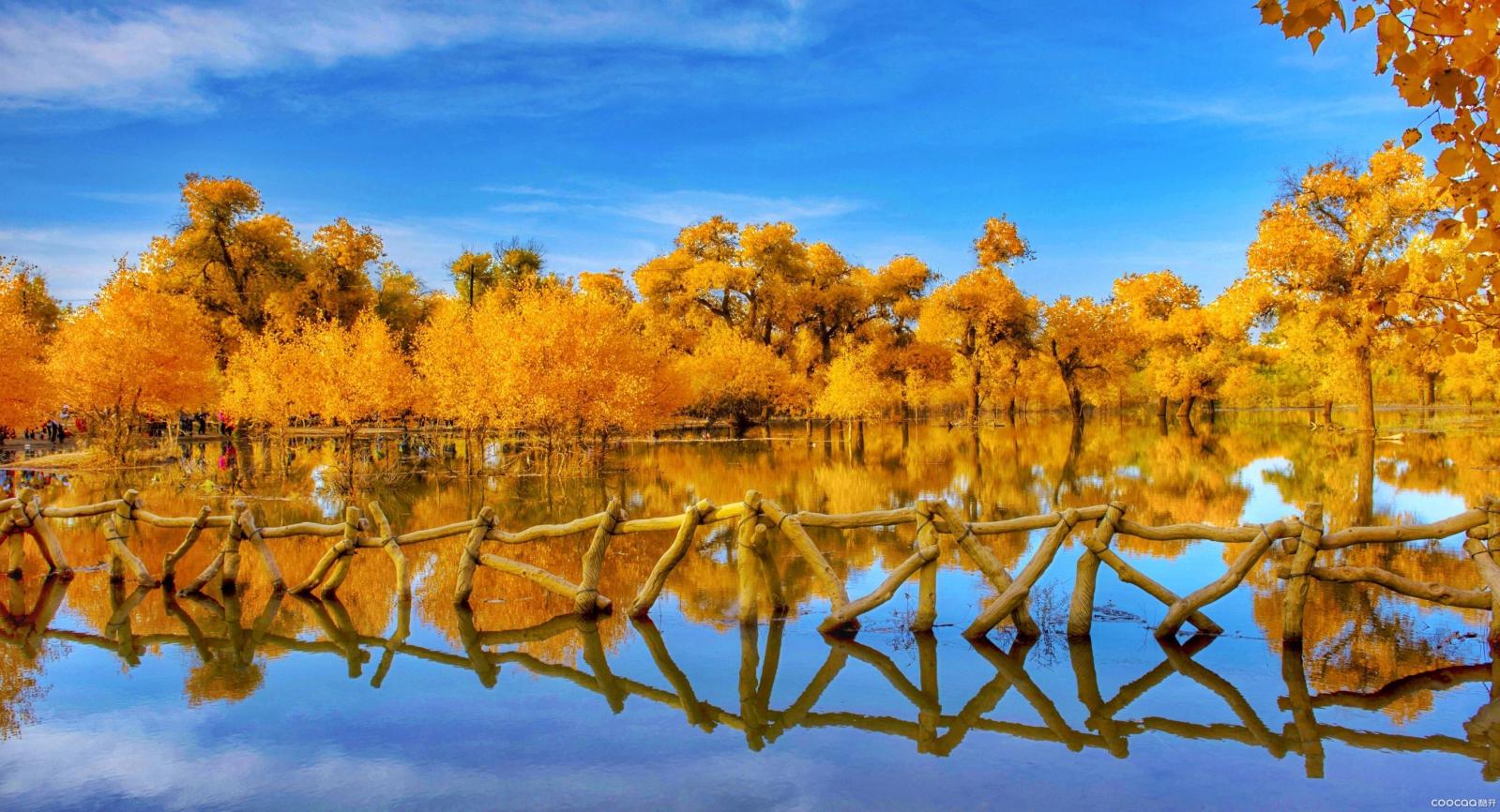 北京出发内蒙古自驾游：额济纳胡杨林-居延海-怪树林-黑水城6日自驾之旅