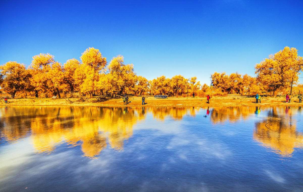 山东出发额济纳7日自驾游：额济纳胡杨林-掖丹霞-老牛湾-沙坡头赏秋游