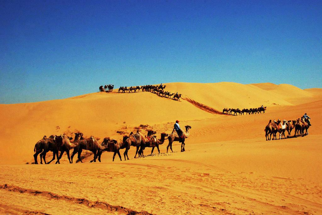 成都出发内蒙8日自驾游：响沙湾-七星湖-镇北堡影视城8日自驾游