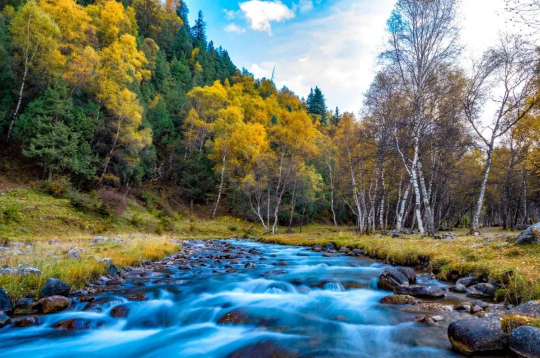 四川出发北山天堂7日金秋深度自驾游：川主寺-松潘古城-若尔盖大草原-坎布拉国家公园-北山林场