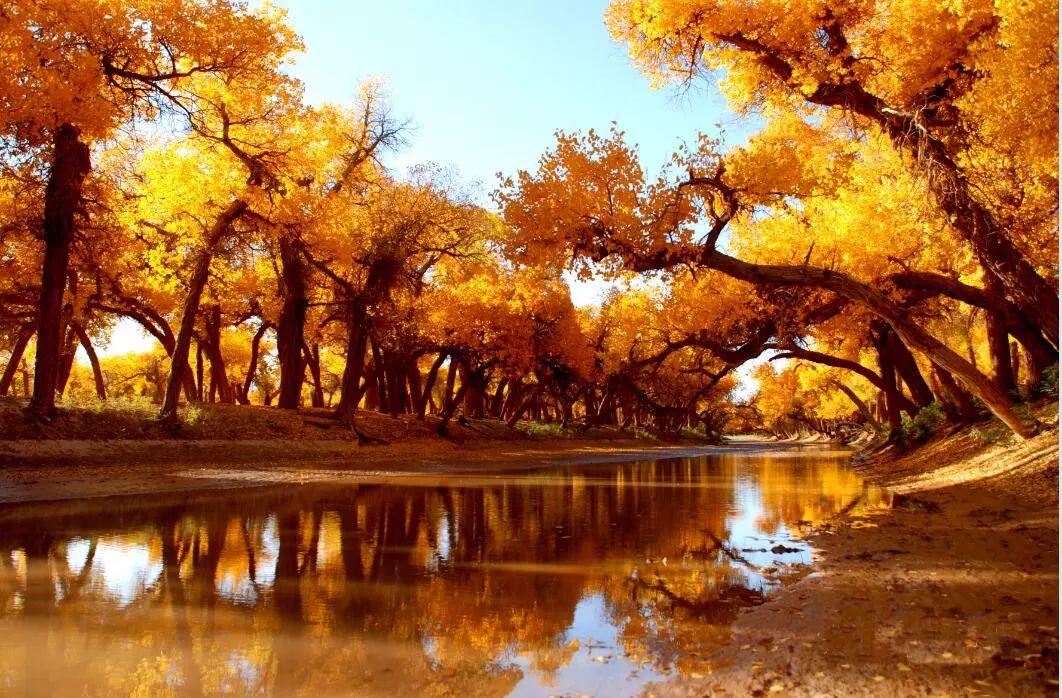 济南出发自驾额济纳8日游：乌兰察布-乌梁素海-额济纳胡杨林-嘉峪关-波浪谷8日游