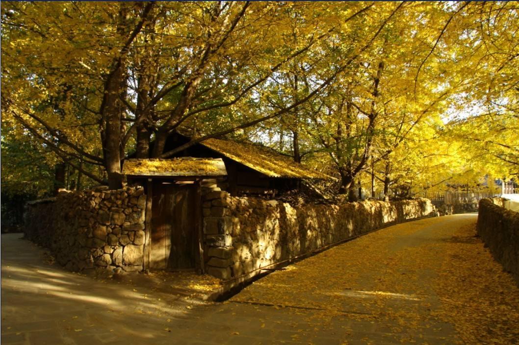 昆明集合云南滇西6日自驾游：金秋昆明大理腾冲瑞丽6日落地租车自驾