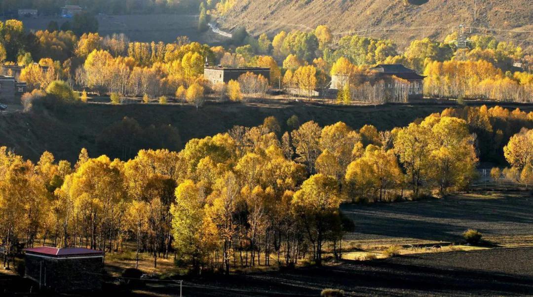 重庆周边自驾游：新都桥-木雅圣地-康定溜溜城3日自驾游